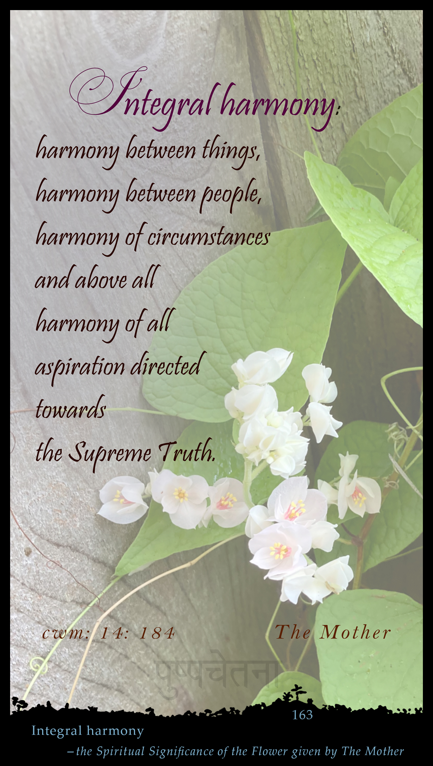 Integral Harmony